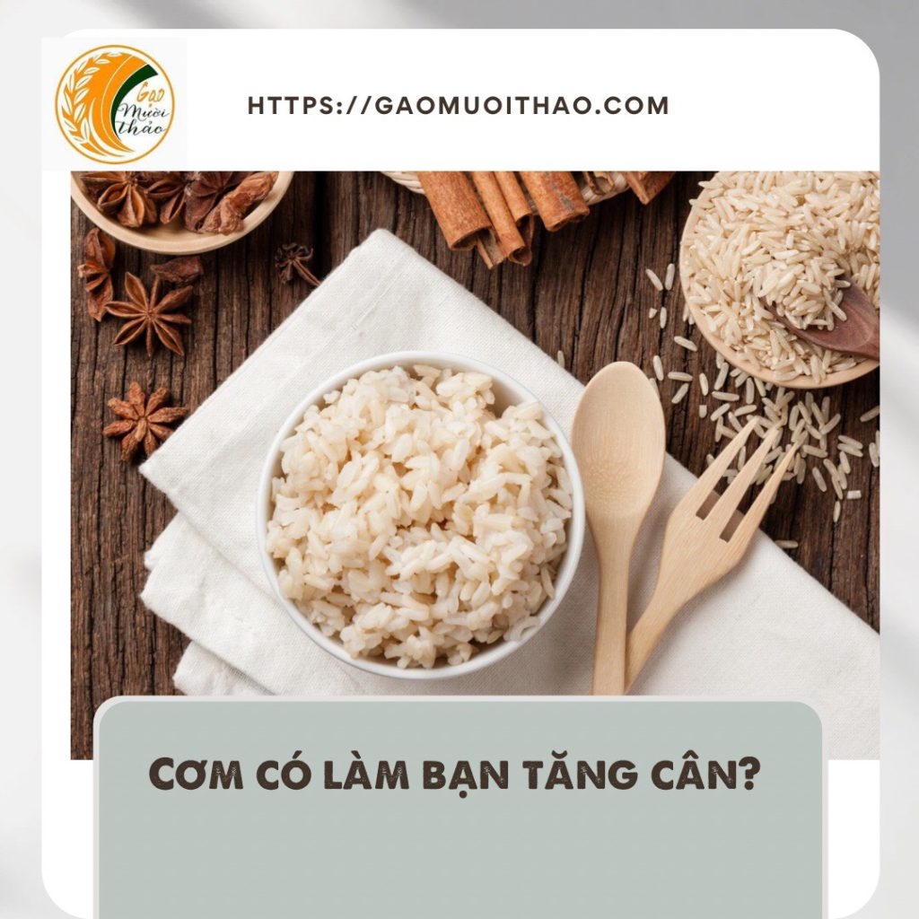 Những cách ăn cơm mà không lo bị béo