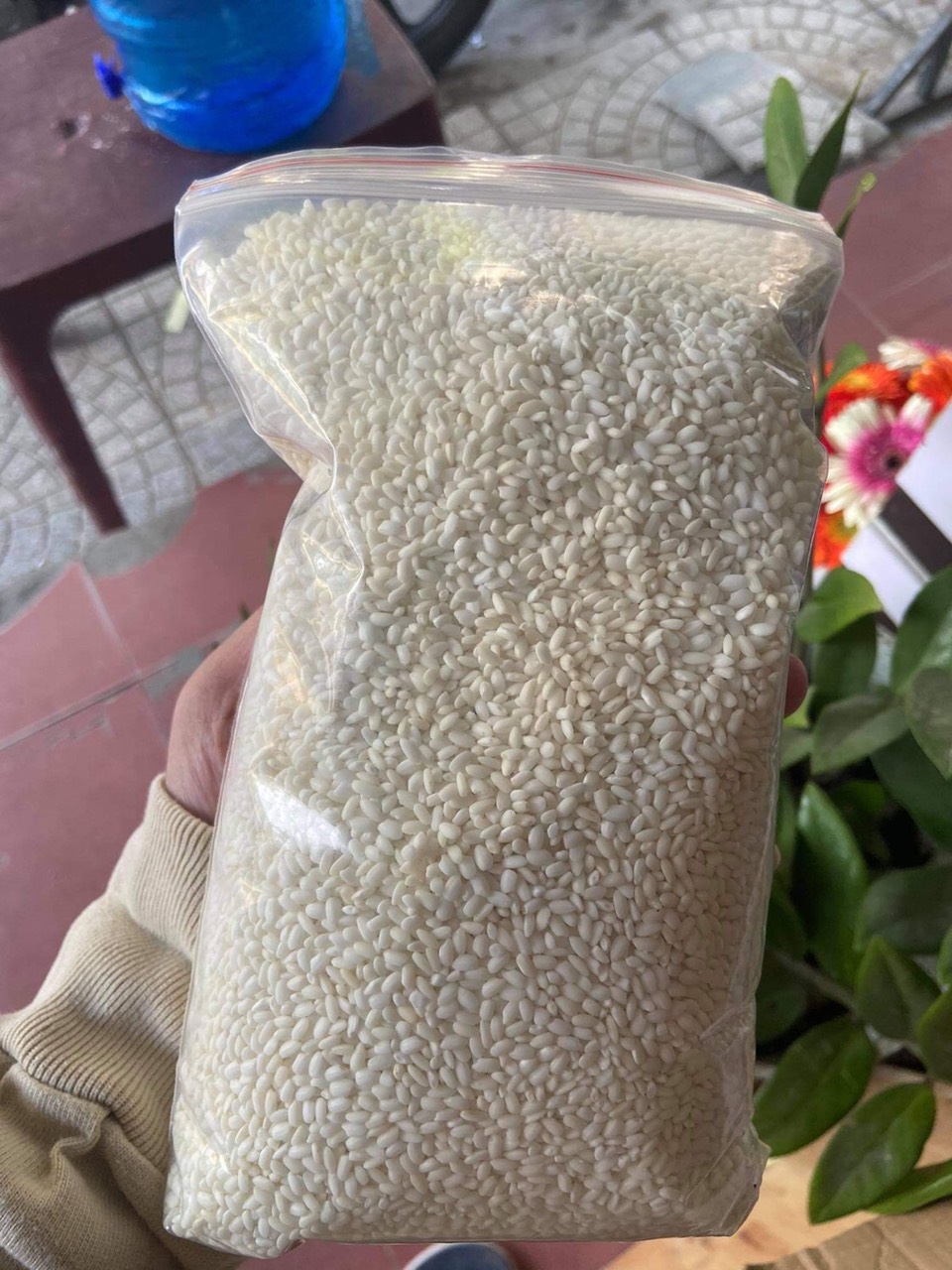 Gạo nếp tại cửa hàng gạo Mười Thảo Đà Nẵng.