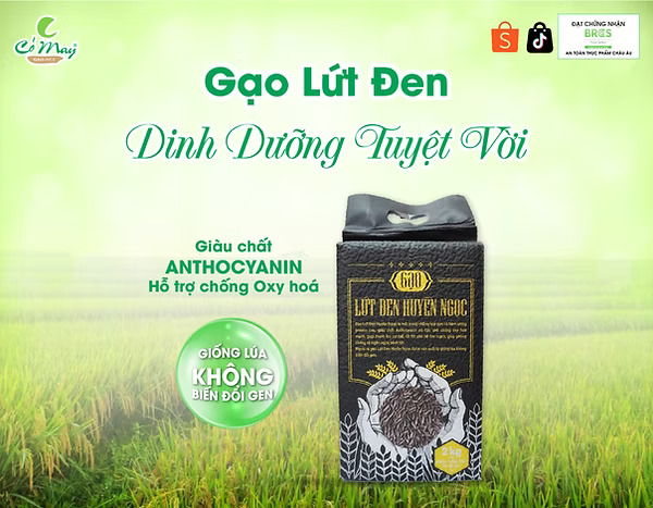 Quy cách đóng gói: Túi Hút chân không (2kg x 10 túi) ​ Đặc tính sản phẩm: Hạt gạo dài, màu đen đặc trưng, cơm ngọt, mềm và dẻo ​ Gạo lứt đen Huyền Ngọc từ giống lúa không biến đổi gen, gạo giữ nguyên cám màu nâu đen tự nhiên. Đây là sản phẩm gạo với tất cả “sự trọn vẹn tự nhiên” có giá trị dinh dưỡng cao và đảm bảo an toàn tuyệt đối cho người tiêu dùng. ​ Gạo lứt đen Huyền Ngọc thanh lọc cơ thể: Giàu Protein, Kali và chất chống oxy hóa Anthocyanin. Là gạo lứt thực dưỡng, giúp đẩy lùi nhiều loại bệnh. ​ Thành phần: Giống lúa không biến đổi gen ​ Vùng nguyên liệu: Các tỉnh ven biển đồng bằng sông Mekong. ​ Quy trình canh tác và đóng gói: Gạo Lứt Đen Huyền Ngọc là sản phẩm gạo chuyên biệt từ giống lúa không biến đổi gen, quy trình canh tác chuyên biệt. Sau khi thu hoạch, lúa nguyên liệu được đưa về nhà máy Cỏ May với hệ thống sấy - xay xát rồi sau đó được lưu giữ trong hệ thống silo trữ lạnh OBIAL công nghệ hiện đại từ châu Âu để bảo quản độ tươi của gạo và chu kỳ chất lượng được kéo dài. ​ Chứng nhận: Gạo lứt đen Huyền Ngọc đạt chứng nhận TIÊU CHUẨN AN TOÀN THỰC PHẨM CHÂU ÂU (NON GMO), An toàn vệ sinh thực phẩm.